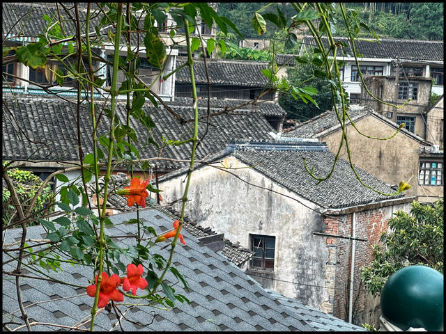 Ancient town - Ningbo 