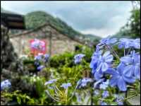 Ancient town - Ningbo 