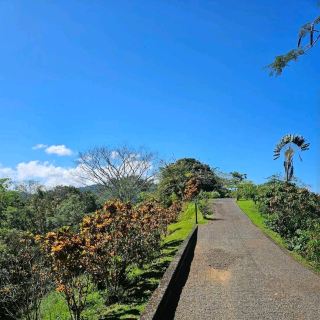 Pura Vida Gardens And Waterfall: A Stunning Destination