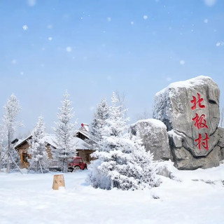 ❄️🌌【A Journey to Find Light and Snow in Mohe, the Far North of China】Unlock the breathtaking spectacle of water instantly freezing and the romantic aurora borealis in the Arctic! A super practical and high-quality travel guide for lazy travelers 🇨🇳❄️🌲🎅📸💖