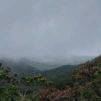 Amazing view from Alexandra Falls Viewpoint!