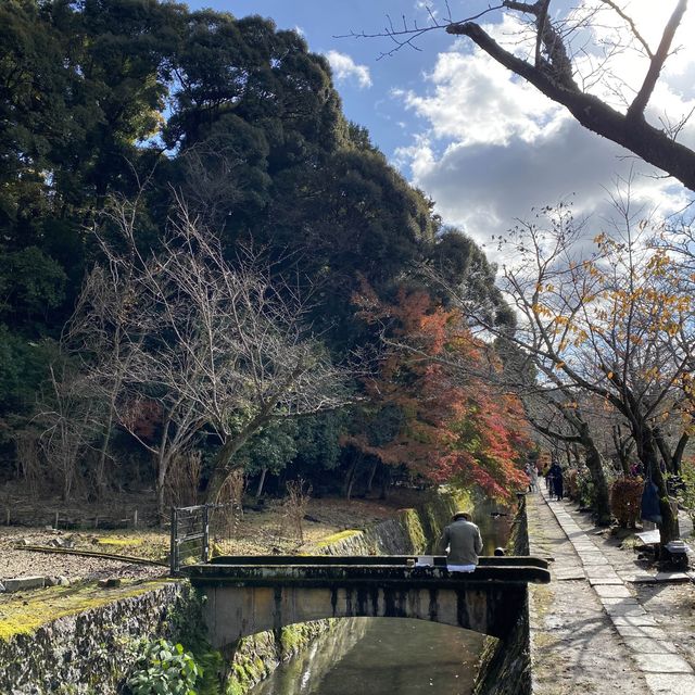 信步閒遊哲學之道