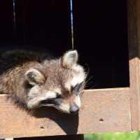 Tierpark … Wonderful park Greifswald