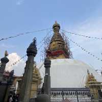 🇳🇵 Kathmandu Monkey Temple 🐒