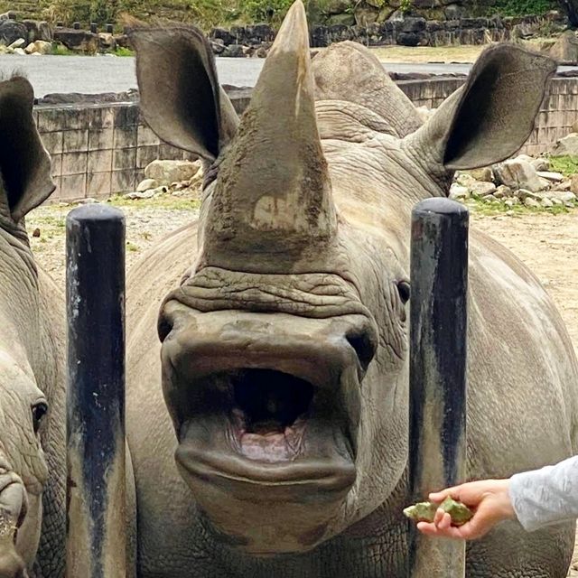🎠動物遊樂園🦁冒險大世界🎡棲息著160種動物🐼