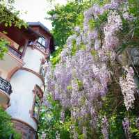 Heidelberg City Walk