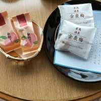 ♨️有馬格蘭德酒店🌸享受真正金泉和銀泉