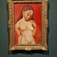 Musée National Picasso-Paris 🇫🇷