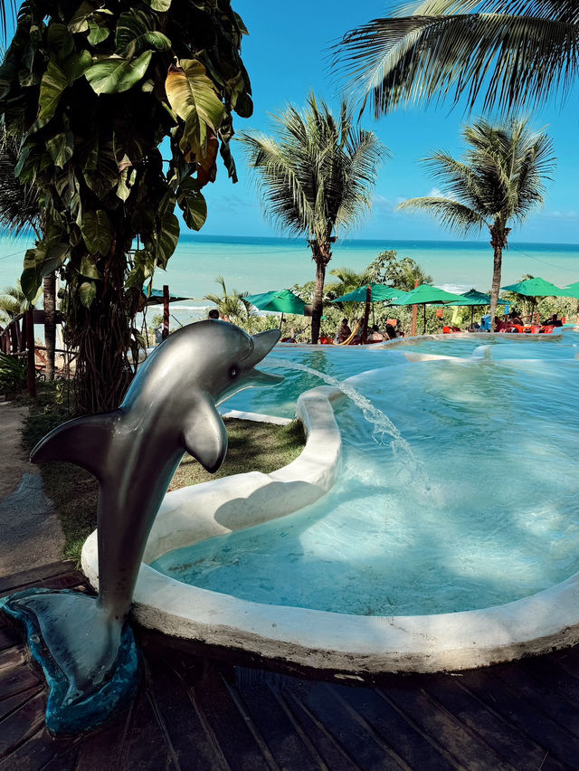 피파 비치 🏝️