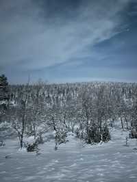 【踩上北歐追極光之旅：Rovaniemi 天空上閃耀着一道漂亮的紫色和綠色光線！】