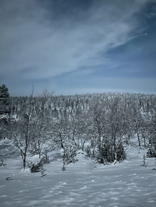 【踩上北歐追極光之旅：Rovaniemi 天空上閃耀着一道漂亮的紫色和綠色光線！】