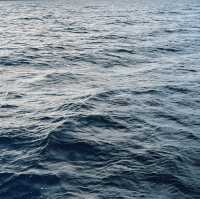 Highland Magic: A Cruise on Loch Ness