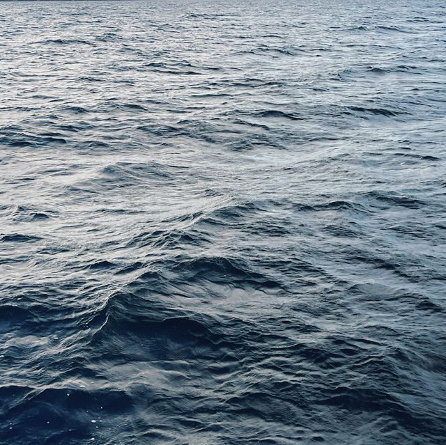 Highland Magic: A Cruise on Loch Ness