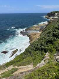 🌊 Coastal Bliss: Hiking from Coogee to Bondi Beach 🥾🏝️