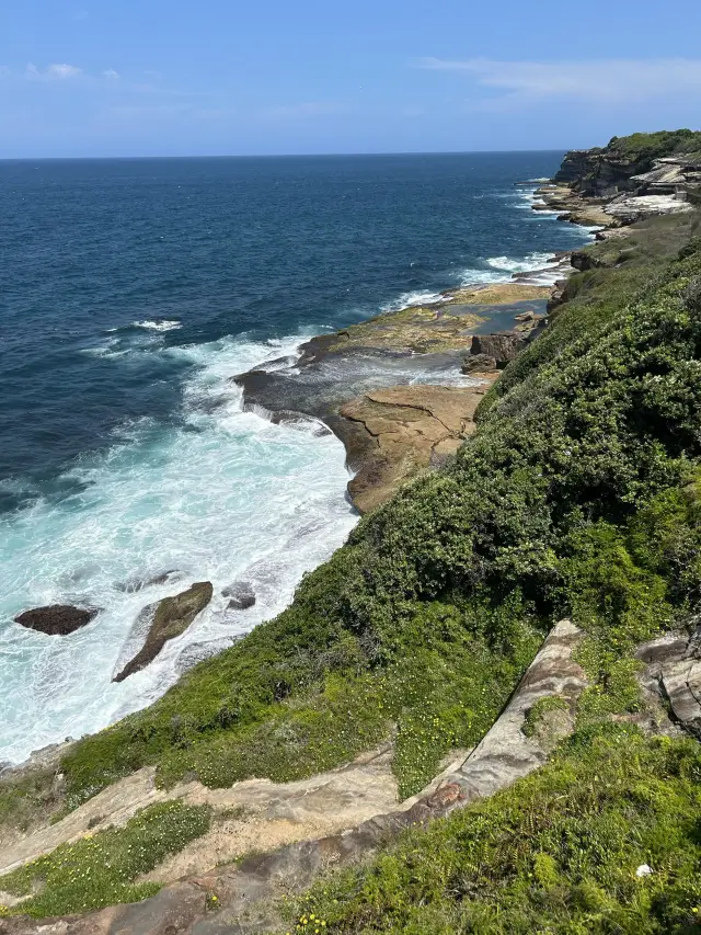 海岸漫步：從庫吉海灘到邦迪海灘健行 