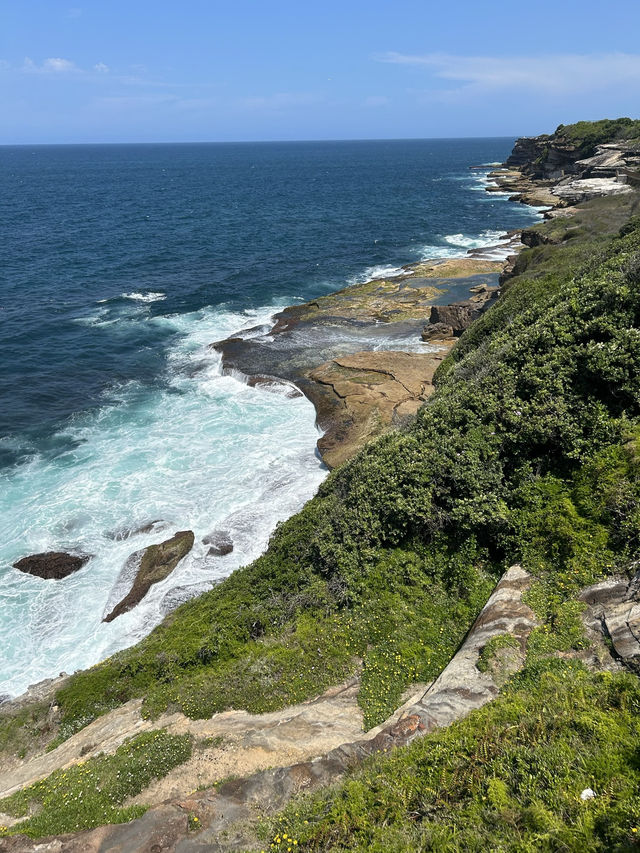 🌊 Coastal Bliss: Hiking from Coogee to Bondi Beach 🥾🏝️