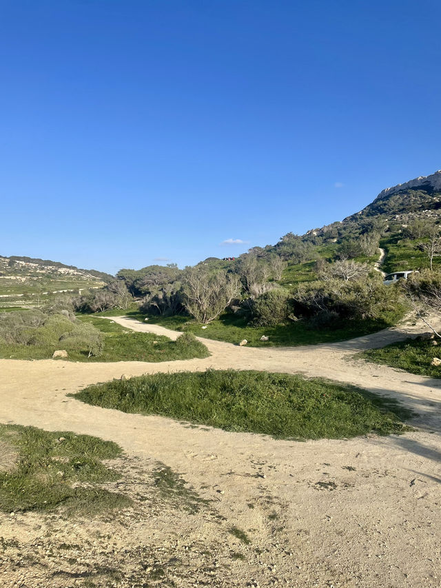 Springtime Rambles in the Sun