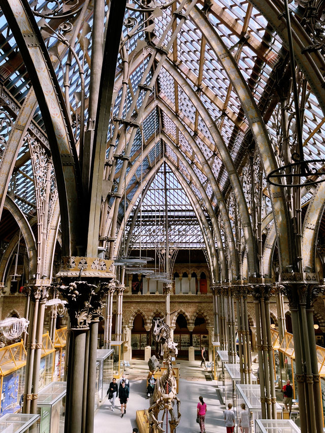 🦖 Oxford University Museum of Natural History: A Timeless Adventure!