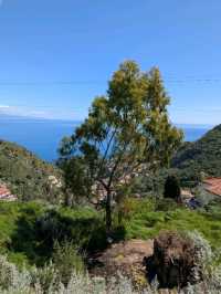 Above Taormina 