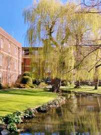 Cambridge by the River: A Scenic Adventure 🌿🚣‍♂️
