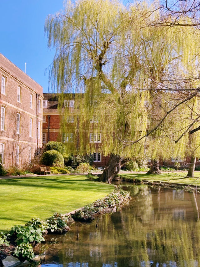 Cambridge by the River: A Scenic Adventure 🌿🚣‍♂️