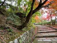 The scene of about 8,000 stone Buddhas and stone pagodas lined up in the precincts