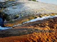 Yellowstone on a Budget: Steam, Stone & Stunning Sights Without Breaking the Bank