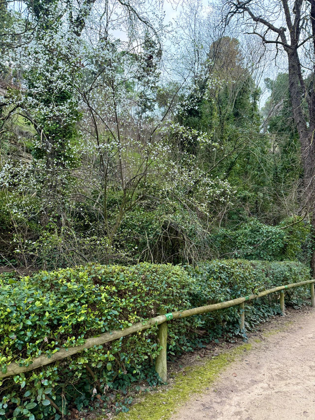 Slow Steps Through Green & Stone
