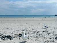 Soft Sand, Clear Water, Zero Stress – St. Brelade’s Bay Has It All