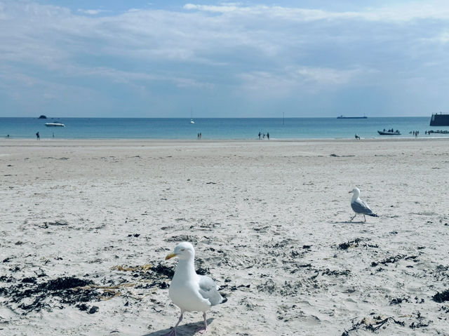 Soft Sand, Clear Water, Zero Stress – St. Brelade’s Bay Has It All