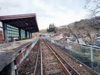 Kamioka: A Hidden Mountain Escape with a Rail Bike Twist 