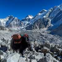 Everest base camp trek.