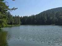 Rakitna lake