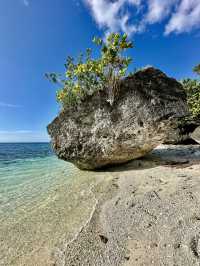 Why Cebu Should Be Your Next Island Adventure in the Philippines