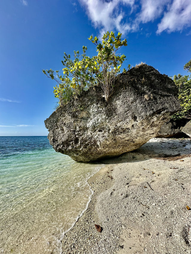 Why Cebu Should Be Your Next Island Adventure in the Philippines