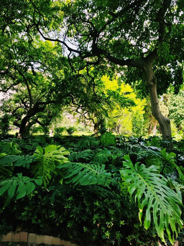 Morning Calm at Jardines de Monforte 🌸🌿