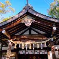 Tokyo to Nagoya: City Sights, History & Local Flavors