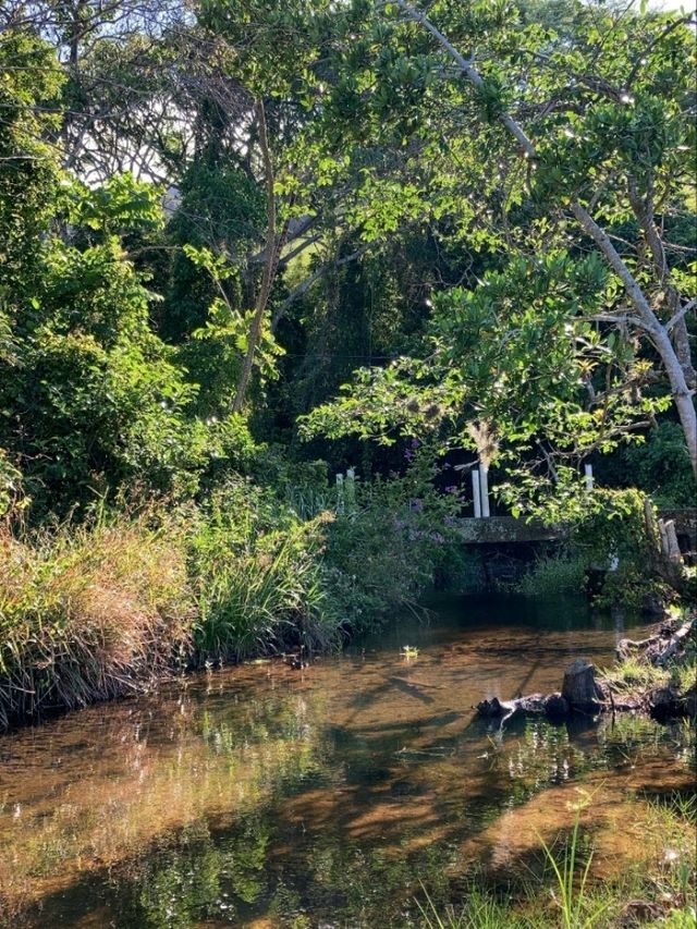 🌿 Hiking the Costa da Lagoa Trail in Florianópolis 🥾