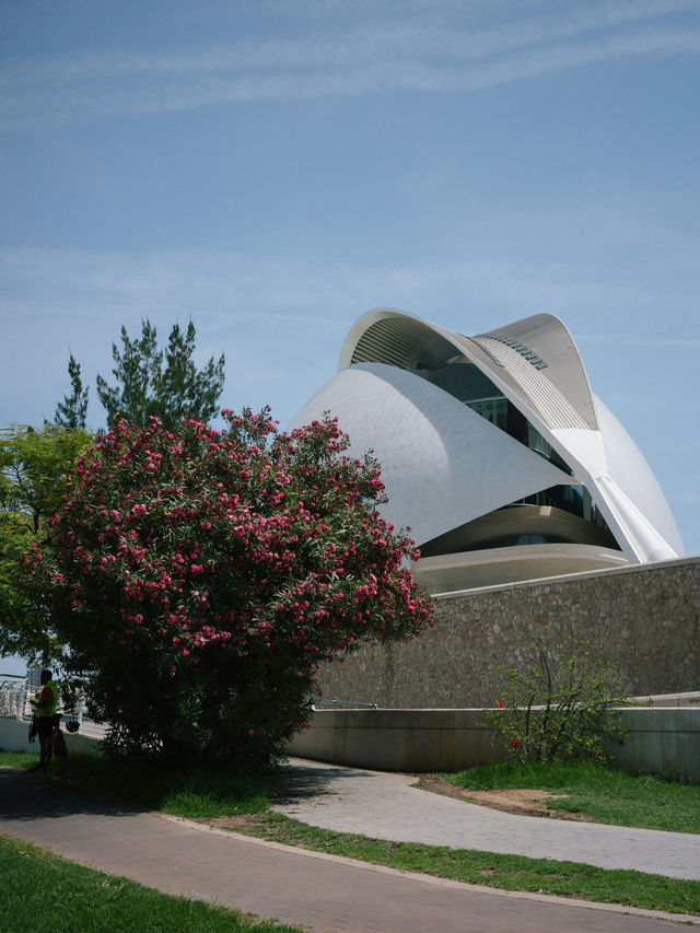 🌿🏛️ Weekend Getaway in Valencia: Old Town & City Charm 🏰🌸