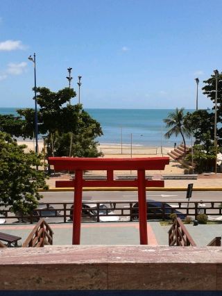 Fortaleza: Sun, Sea, and Culture in Northeastern Brazil ☀️