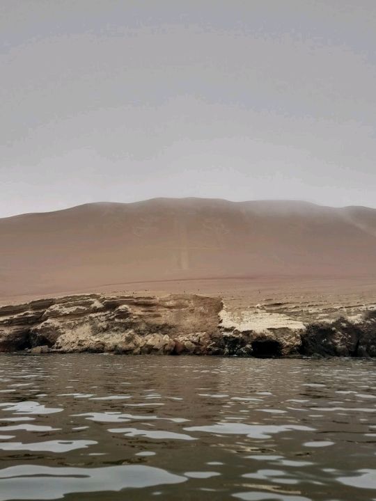 The Ballestas Islands.