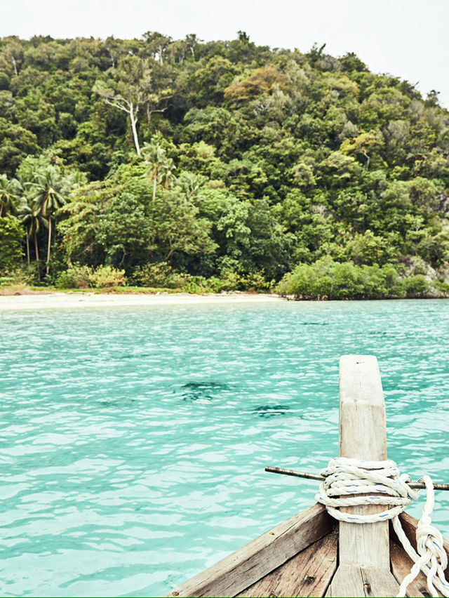 🌴🌞 Tranquil Morning Walks on Bintan Shores 🌊✨