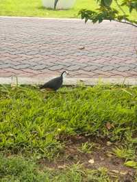 Мальдивы с малышом