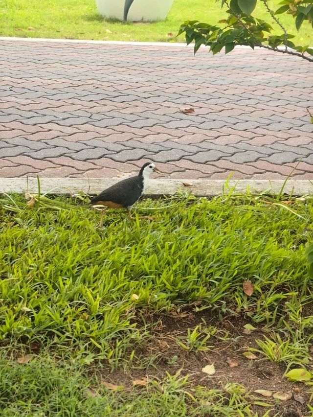 Мальдивы с малышом Мальдивы с малышом