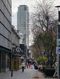 Rotterdam Guide — Modern Architecture and Creative Energy🍵🚅