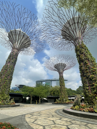 花園狂想曲：新加坡濱海灣花園的奇幻魔法
