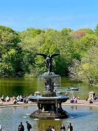 Central Park, it’s basically Hollywood’s favorite green screen!