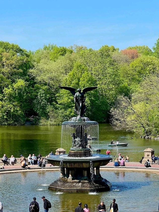 Central Park, it’s basically Hollywood’s favorite green screen!