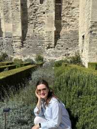 Папские сады в Авиньоне