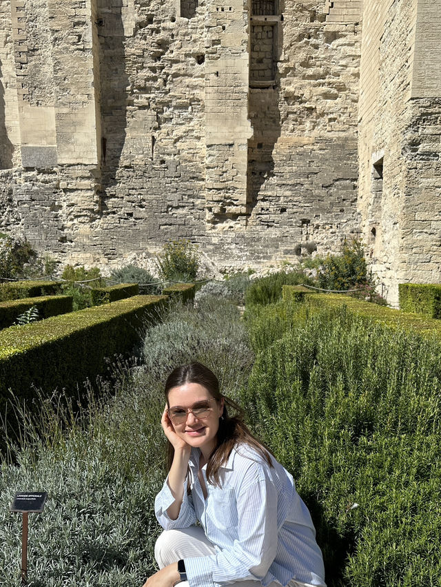 Папские сады в Авиньоне